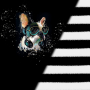 Katoenen jersey Malomi Paneel  Cool Dog, zwart 145 x 80cm