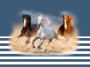 Katoenjersey Malomi paneel paarden 150 x 65 cm