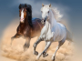Katoenjersey Malomi paneel paarden 150 x 65 cm