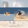 Katoenjersey Malomi paneel paarden 150 x 65 cm