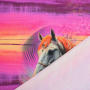Baumwolljersey Panel Fancy Horses, 150 x 75 cm
