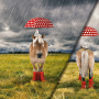 Baumwolljersey Panel Pferd im Regen, 150 x 115 cm