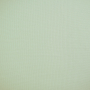 Tissu jersey coton gaufré Mini, menthe claire