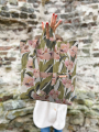 Decoratiestof canvas flowers, cremekleurig