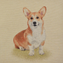 Tissu déco gobelin panneau Corgi Dog, 46x46cm