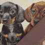 Dekostoff Gobelinstoff Panel Dackelfreunde, 46 x 46 cm