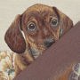 Dekostoff Gobelinstoff Panel Dackelwelpe, 46 x 46 cm