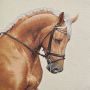 Dekostoff Gobelinstoff Panel Dressurpferd, 46 x 46 cm