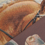 Dekostoff Gobelinstoff Panel Dressurpferd, 46 x 46 cm