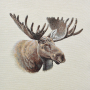 Decoratiestof Gobelin paneel eland, 46 x 46 cm