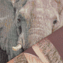 Dekostoff Gobelinstoff Panel Elefant, 46 x 46 cm