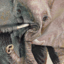 Dekostoff Gobelinstoff Panel Elefant, 46 x 46 cm