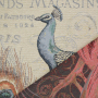 Dekostoff Gobelinstoff Panel Peacock, 46 x 46 cm