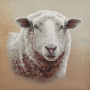 Decoratiestof Gobelin Fancy paneel schapen, 46 x 46 cm