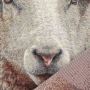 Decoratiestof Gobelin Fancy paneel schapen, 46 x 46 cm