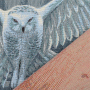 Dekostoff Gobelinstoff Panel Schneeeule, 46 x 46 cm
