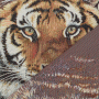 Dekostoff Gobelinstoff Panel Tiger, 46 x 46 cm