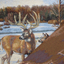 Tissu déco panneau gobelin Panel Winter Deer, 46x46 cm