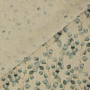 Tissu déco semi panama petits eucalyptus Little Eucalyptus, naturelle