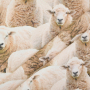 Dekostoff Halbpanama Little Sheep, beige