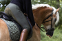E-Book AnniNanni Damen Reitleggings, german