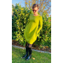 E-Book Blaubeerstern Blaubeerkleid, duits