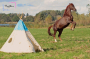 E-Book CoelnerLiebe Das große Tipi