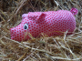 E-book CoelnerLiebe Nackenkissen Schwein, Duits