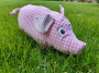 E-book CoelnerLiebe Nackenkissen Schwein, Duits