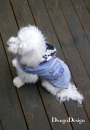 E-Book DongoDesign Hundemantel Jack the Zipper, duits