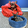 Patron panier ou corbeille pour chiens et chats pdf Sissi Erbsünde, en allemand