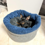 Patron panier ou corbeille pour chiens et chats pdf Sissi Erbsünde, en allemand