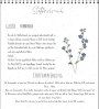 Patron bonnet enfant pdf Das Zwergending Four Chapter, en allemand