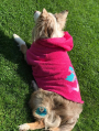 E-Book Joudii Hundehoodie Charly, duits