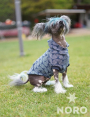 E-Book Joudii Hundehoodie Charly, duits