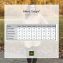 E-book JusAsuj Damen Pullover/Jurk Castagne, Duits