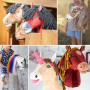 E-Book Kullaloo Hobby Horse Holly, german