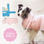 E-Book Kullaloo Hundejacke Fiffi, en allemand