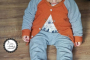 E-book Lotte & Ludwig Baby Basics, Duits