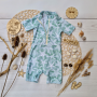 E-book Lotte & Ludwig Swim Basics Kids, Duits
