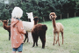 E-Book Lotte & Ludwig Kinder Wind & Wetter Parka, en allemand