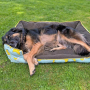 E-book Maker Mauz Hundebett Alma, Duits