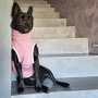 E-book Maker Mauz Hundejacke Alma, Duits