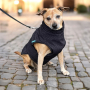 E-book Maker Mauz Hundejacke Alma, Duits