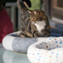 E-book Maker Mauz Katzenbett / Hundebett, Duits