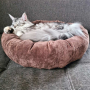 E-book Maker Mauz Katzenbett / Hundebett, Duits