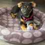 E-book Maker Mauz Katzenbett / Hundebett, Duits