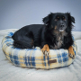 E-book Maker Mauz Katzenbett / Hundebett, Duits