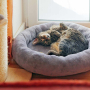 E-book Maker Mauz Katzenbett / Hundebett, Duits
