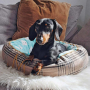 E-book Maker Mauz Katzenbett / Hundebett, Duits